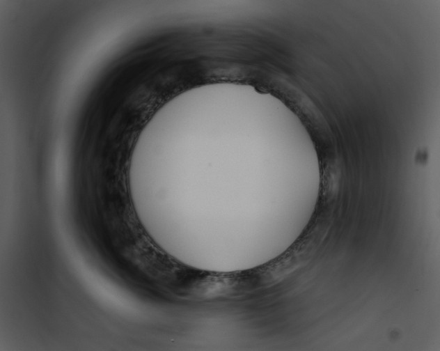 X0000100780764200807171442