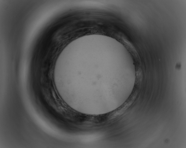 X0000100780765200807171442