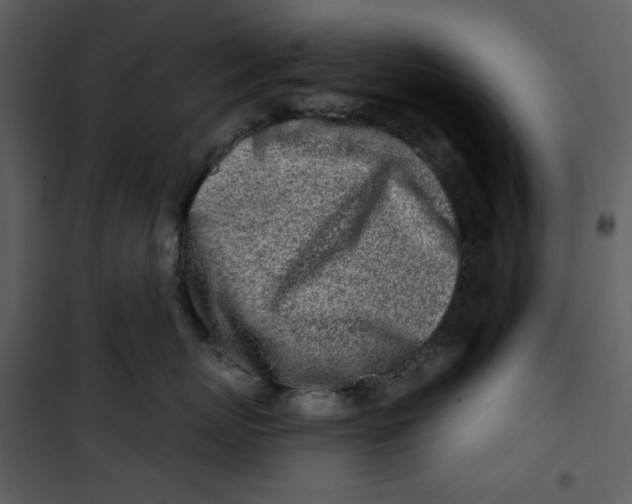X0000100780767200807171442
