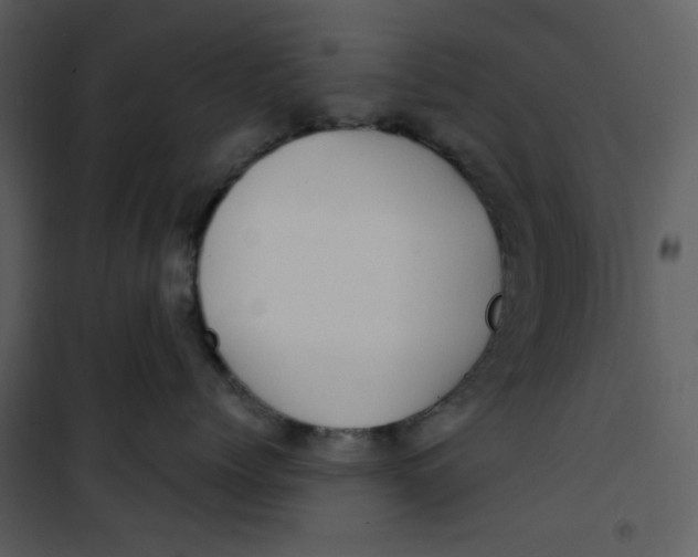 X0000100780768200807171442
