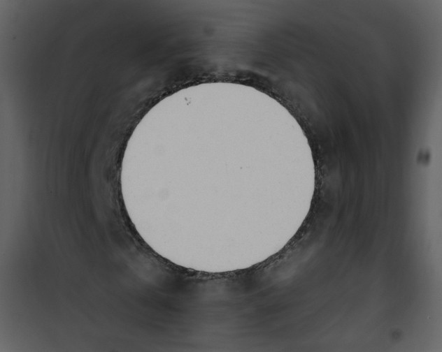 X0000100780769200807171441