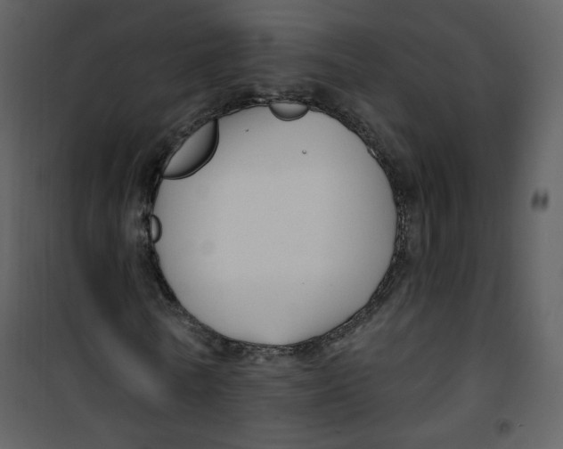 X0000100780770200807171441