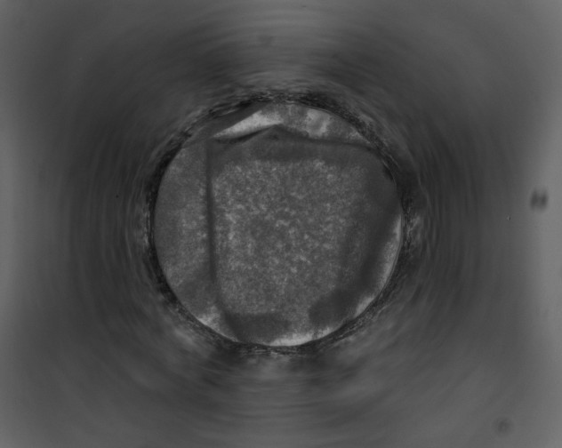 X0000100780772200807171441