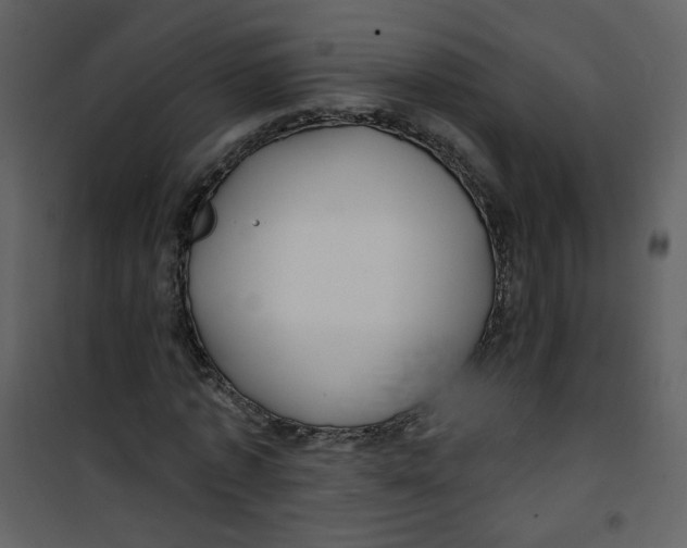 X0000100780773200807171441