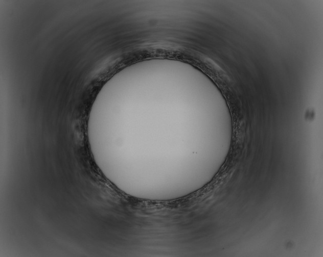 X0000100780774200807171441