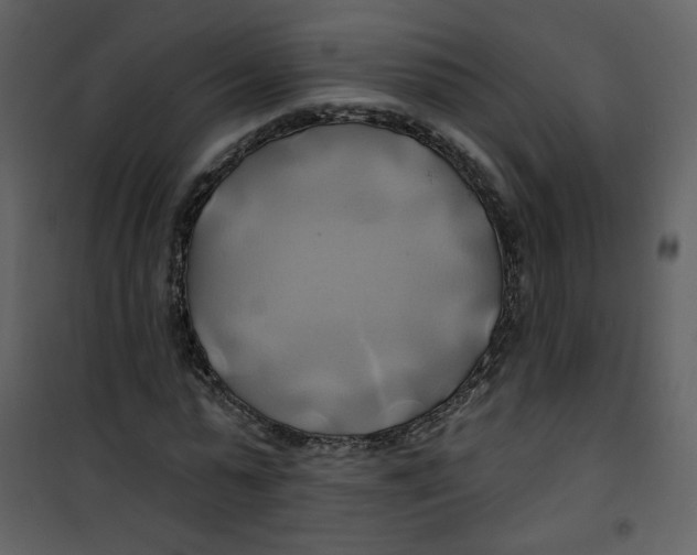 X0000100780775200807171441