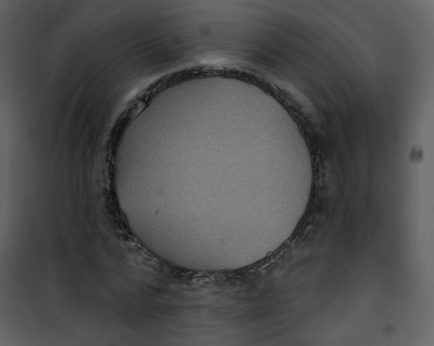 X0000100780776200807171441