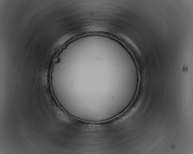 X0000100780777200807171441