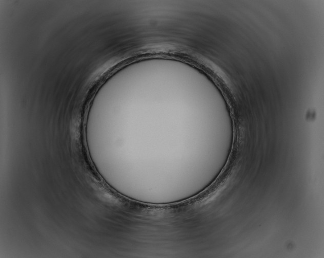 X0000100780778200807171441