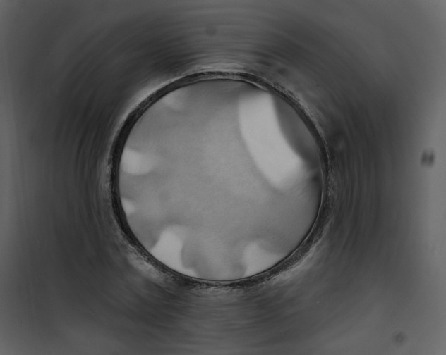 X0000100780779200807171441