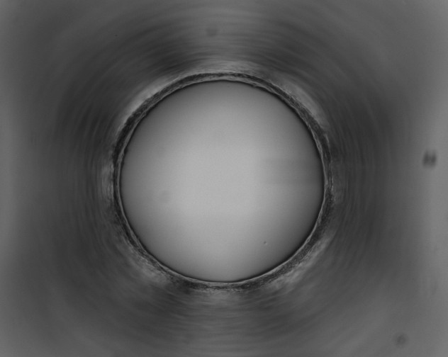 X0000100780781200807171441