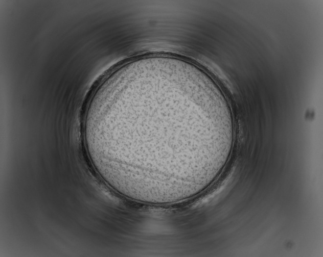 X0000100780782200807171441