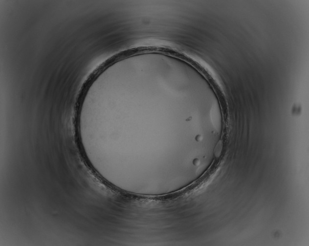 X0000100780783200807171441