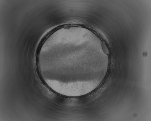 X0000100780784200807171441