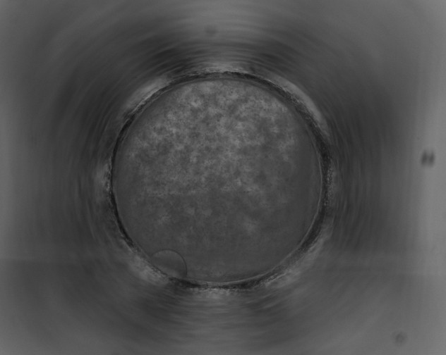 X0000100780785200807171441