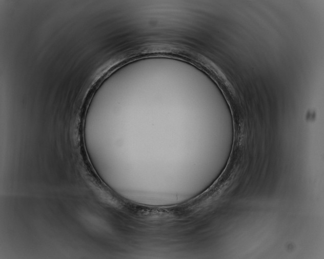 X0000100780786200807171441