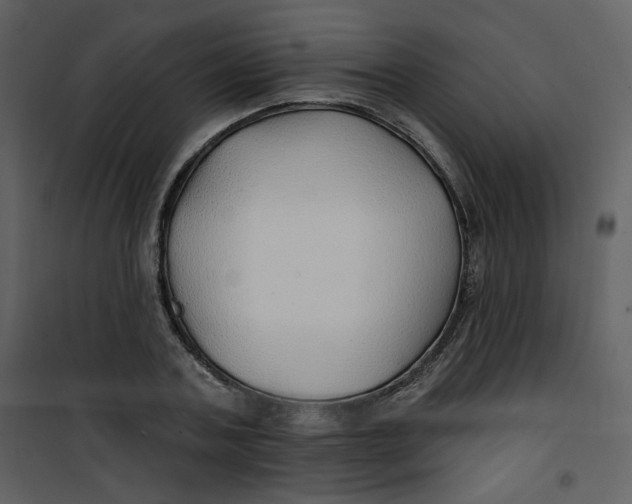 X0000100780787200807171441