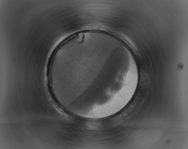 X0000100780788200807171441