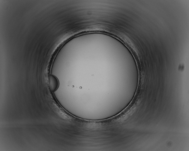 X0000100780789200807171441