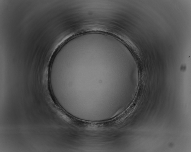 X0000100780790200807171441