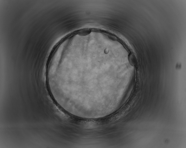 X0000100780791200807171441