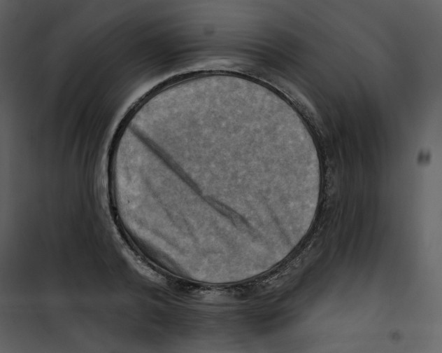X0000100780792200807171441