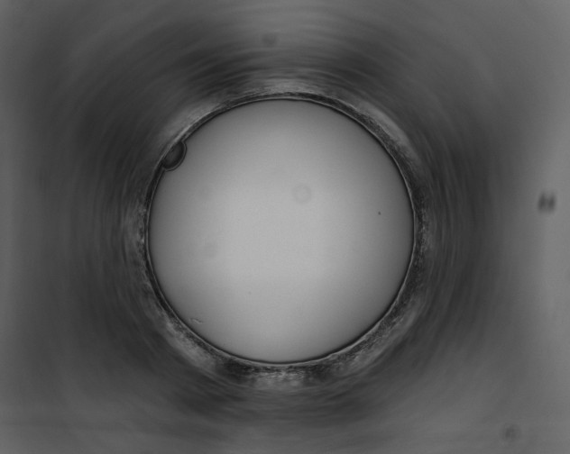 X0000100780793200807171441