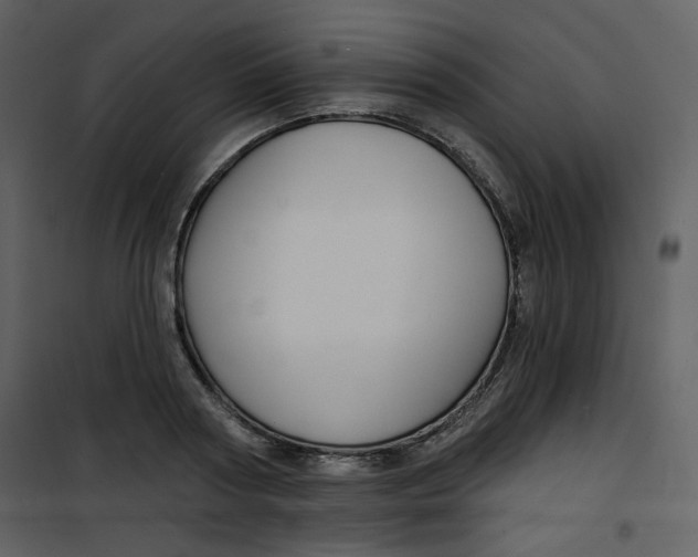 X0000100780794200807171441