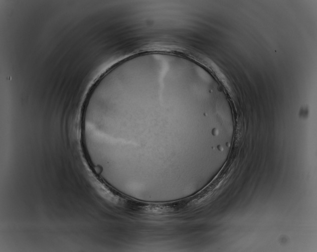 X0000100780795200807171441