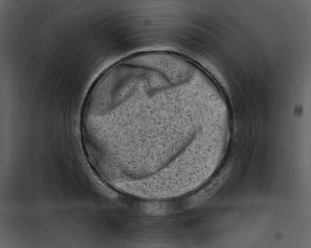X0000100780797200807171441