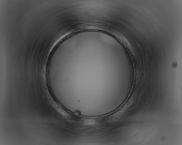X0000100780798200807171441