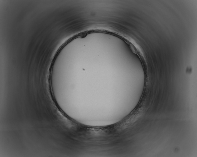 X0000100780799200807171441