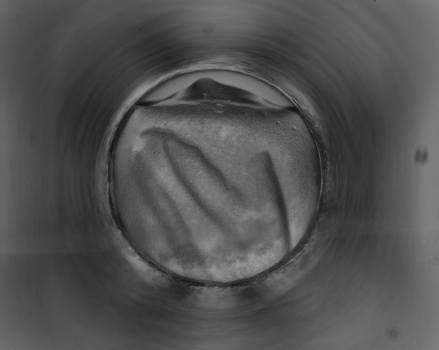 X0000100780800200807171441