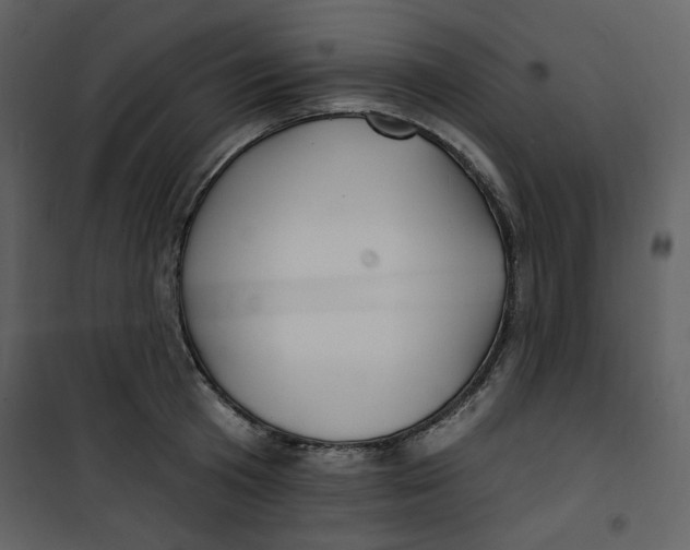 X0000100780801200807171441