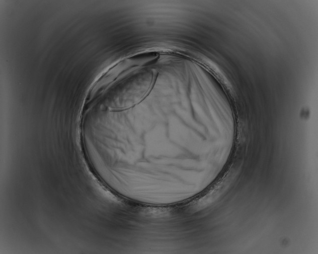 X0000100780802200807171441