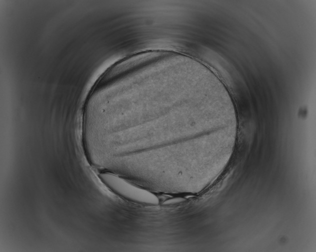 X0000100780804200807171441