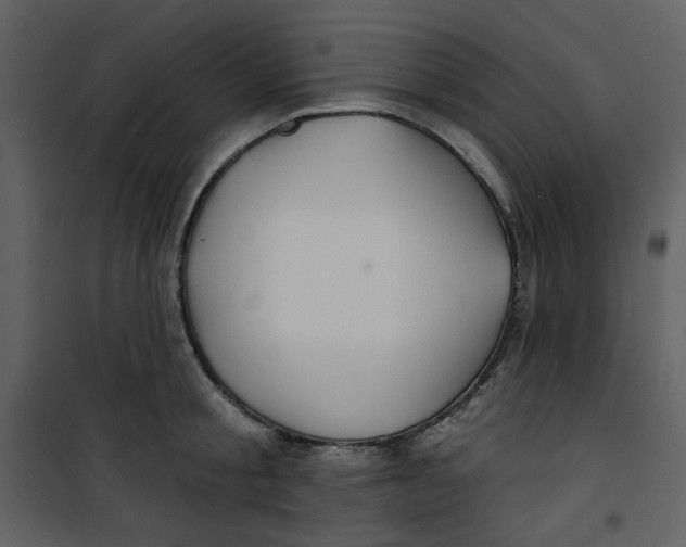 X0000100780805200807171441