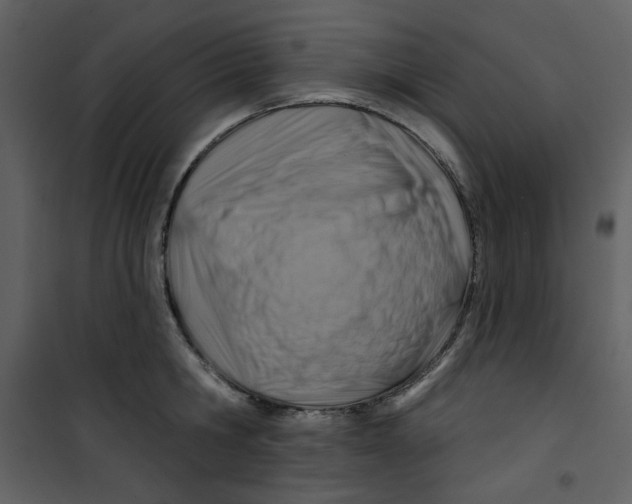 X0000100780806200807171441