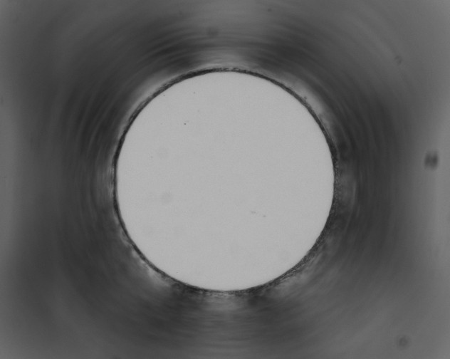 X0000100780807200807171441