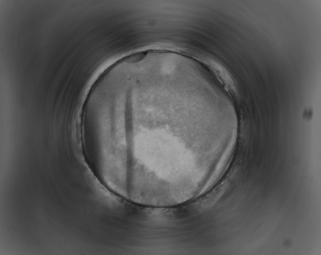 X0000100780808200807171441