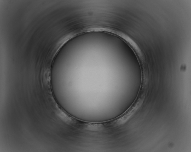 X0000100780809200807171441