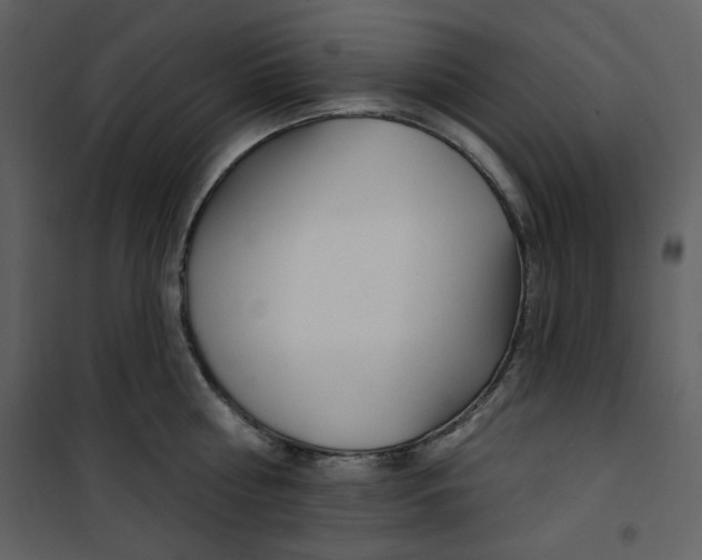 X0000100780810200807171441