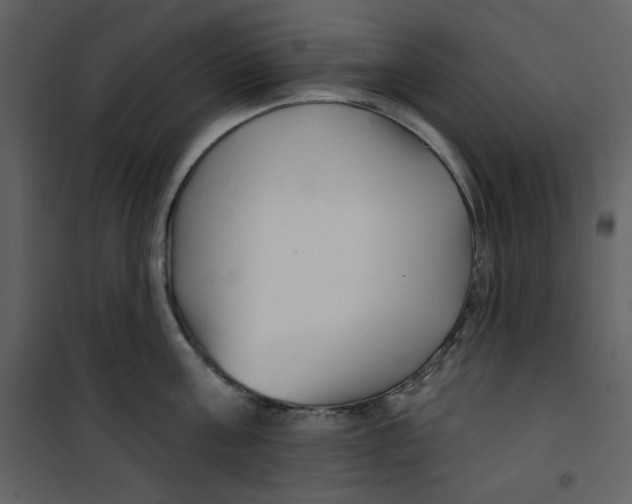 X0000100780811200807171441