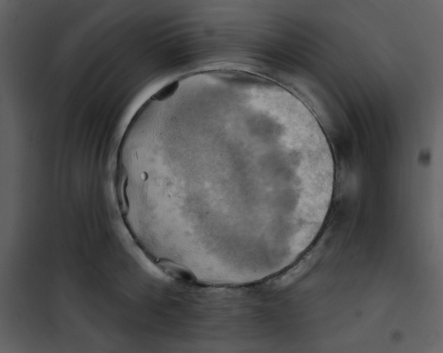 X0000100780812200807171441
