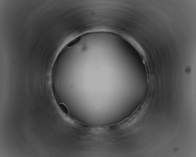 X0000100780813200807171441