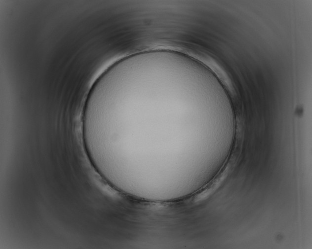 X0000100780814200807171441