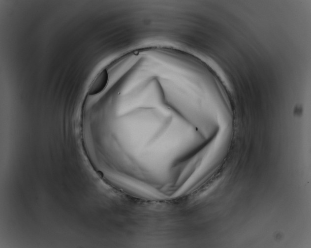 X0000100780815200807171441