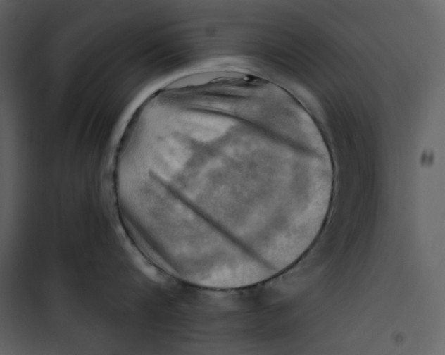 X0000100780816200807171441