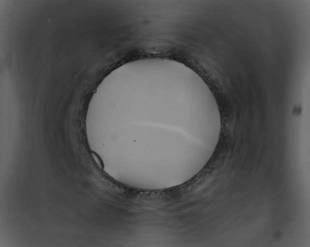 X0000100780817200807171440