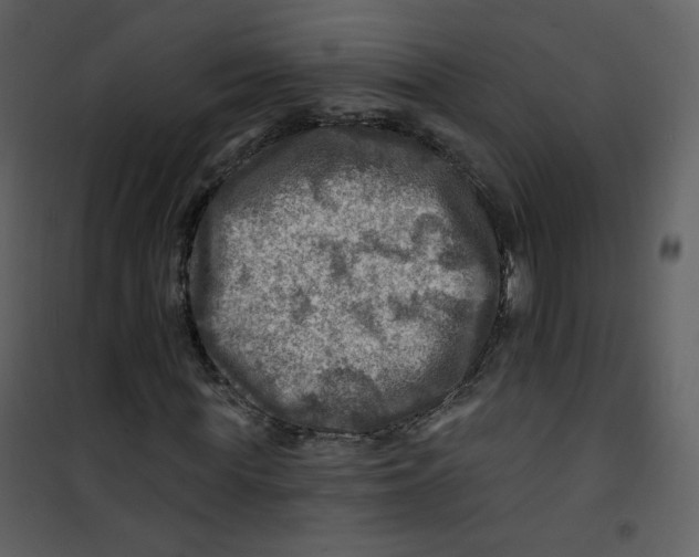 X0000100780819200807171440